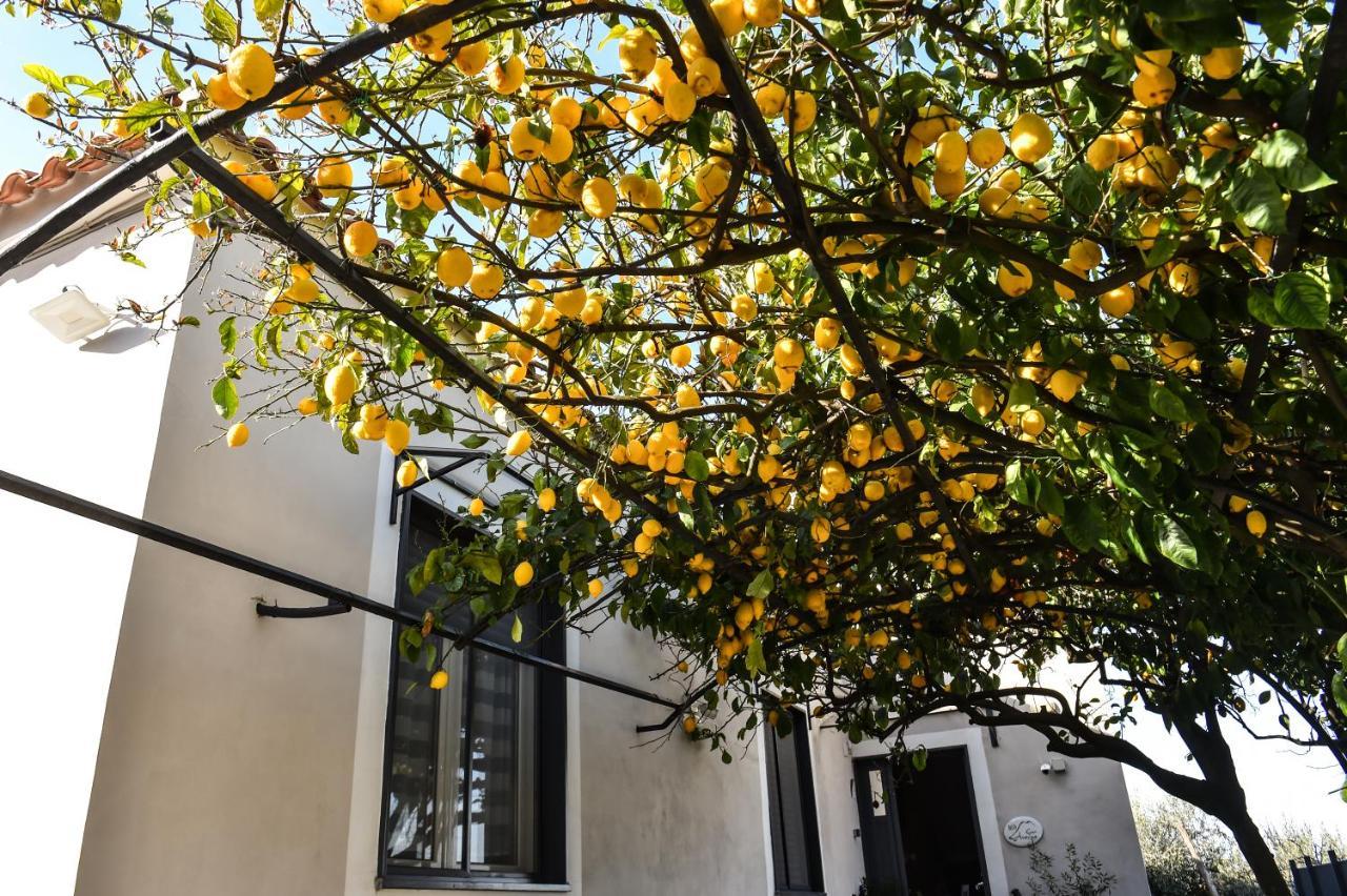 B&B Guest Armonie Torre del Greco Exterior photo